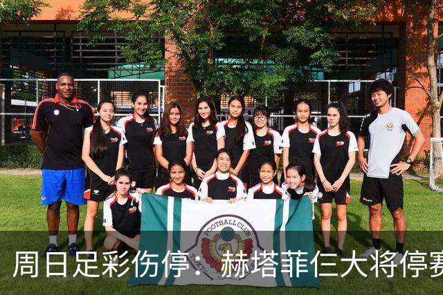 周日足彩伤停：赫塔菲仨大将停赛 热刺伤病满营