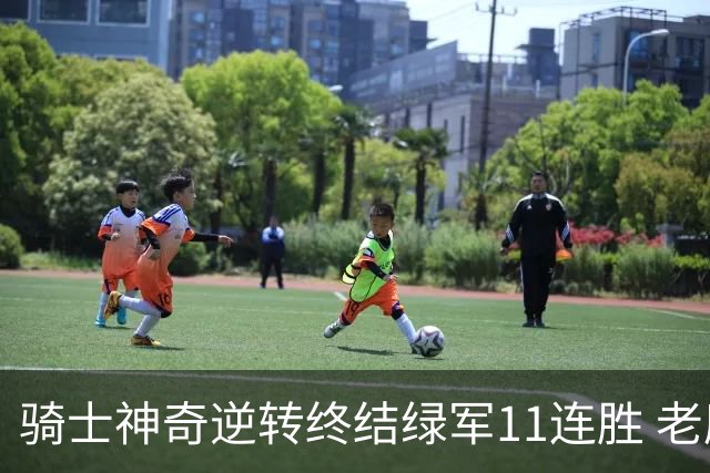 骑士神奇逆转终结绿军11连胜 老鹰大胜尼克斯